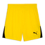 teamLIGA26 Shorts fasteryellowpumablackpumablack