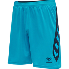 HMLACTION POLY SHORTS