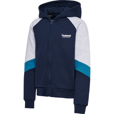 hmlJR LOOSE BLOCKED ZIP HOODIE