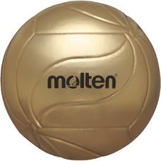 V5M9500 Volleyball