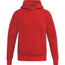 TS Hoody