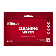 CLEANING WIPES 6 PIECES