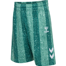 hmlSHIMMER SHORTS
