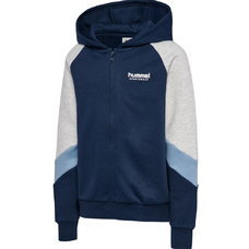 hmlJR LOOSE BLOCKED ZIP HOODIE