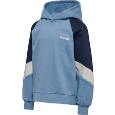 hmlJR LOOSE BLOCKED HOODIE