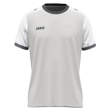 Trikot Dynamic KA
