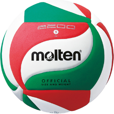 V5M2200 Volleyball