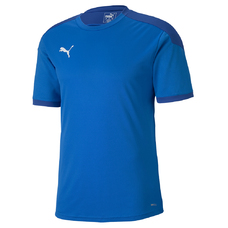 teamFINAL 21 Training Jersey