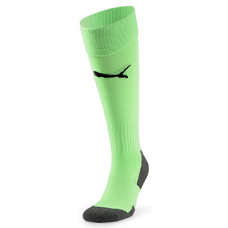 Team LIGA Socks CORE